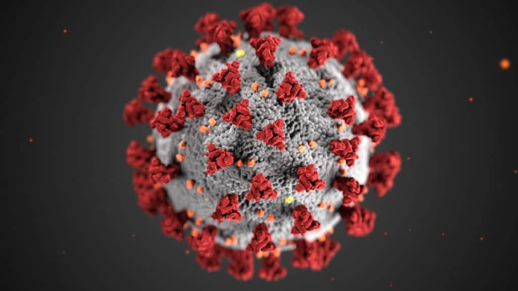 CoronaVirus