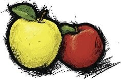 drawing of a green and red apple