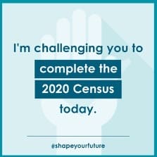 complete the census flyer