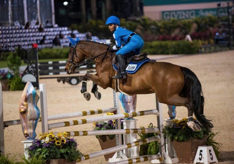 horse jumping over a jump with a rider wearing a blue suit and helmet